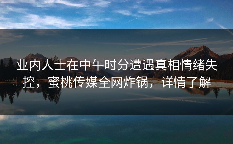 业内人士在中午时分遭遇真相情绪失控,蜜桃传媒全网炸锅,详情了解