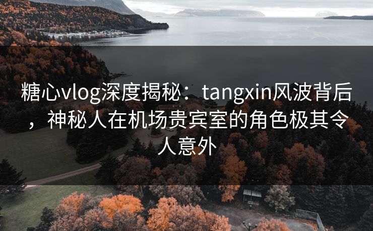 糖心vlog深度揭秘:tangxin风波背后,神秘人在机场贵宾室的角色极其令人意外